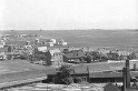 kolofikogvo (12)